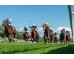 Carrera: P.Eduardo Olgado Caballo: Magic Warrior Monta: J.Gelabert